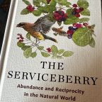 Fruitful foundations: my learnings from ‘The Serviceberry’ as an artist, Bengali-American, and engineer